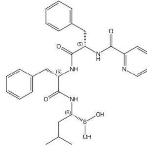 Bortezomib L-Phenylalanyl Analog